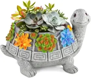 Schildkröte Blumentopf