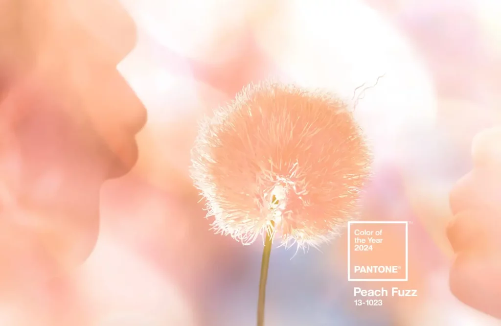 Pantone Farbe 2024 – Peach Fuzz