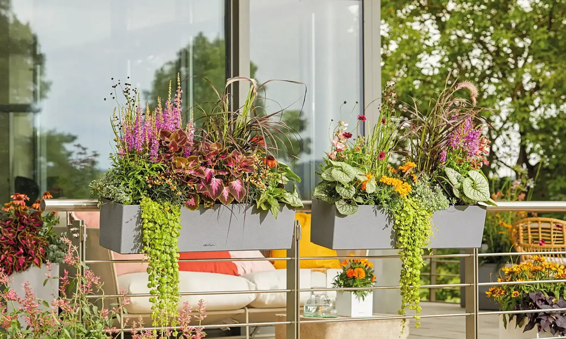 Balkonkästen bepflanzen: Tipps für einen blühenden Balkon